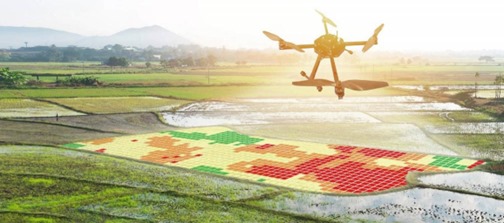 Supported Crops and Diseases